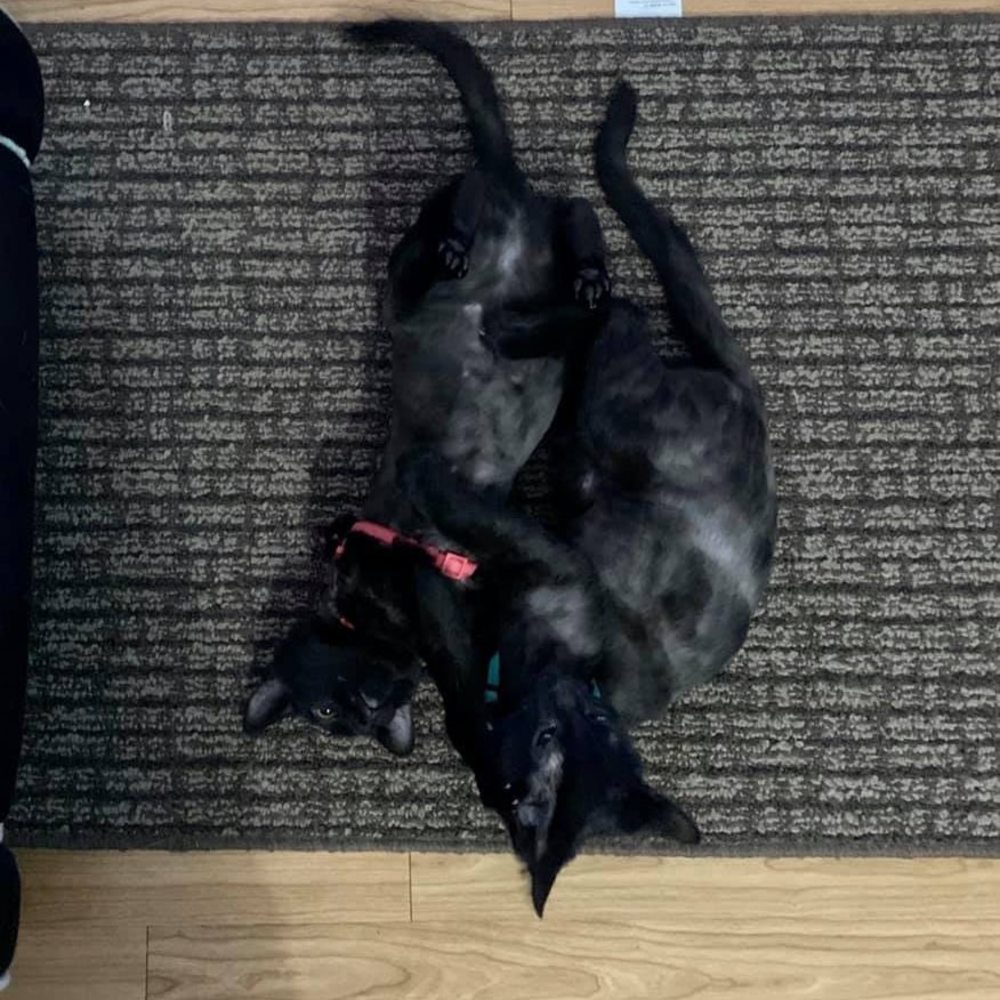 Meet your Posher, Tina